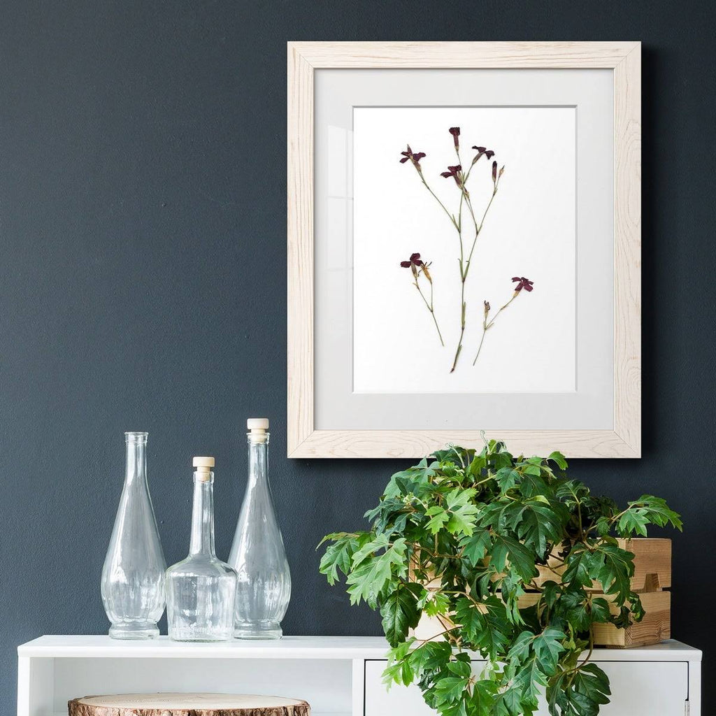 Framed Print - 27.5X37.5 - Walnut R7906