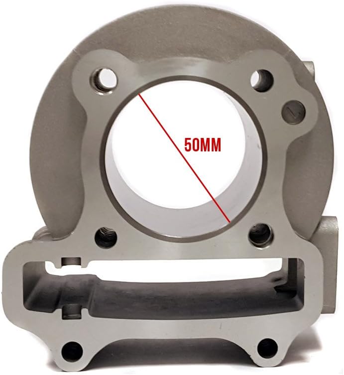 Complete Cylinder Kit 100cc Pack of 2 S774096