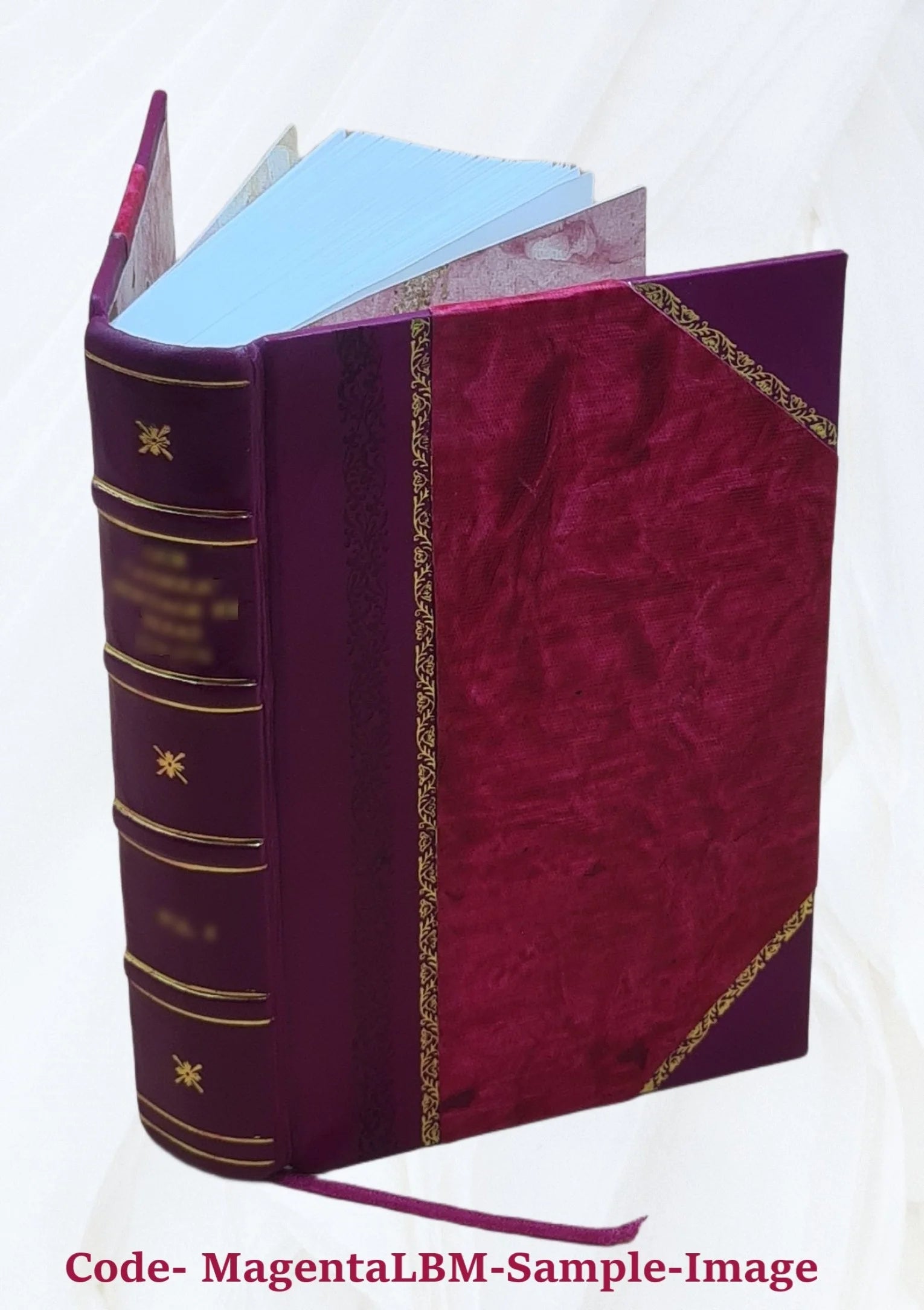 Leather Bound Book Z8259