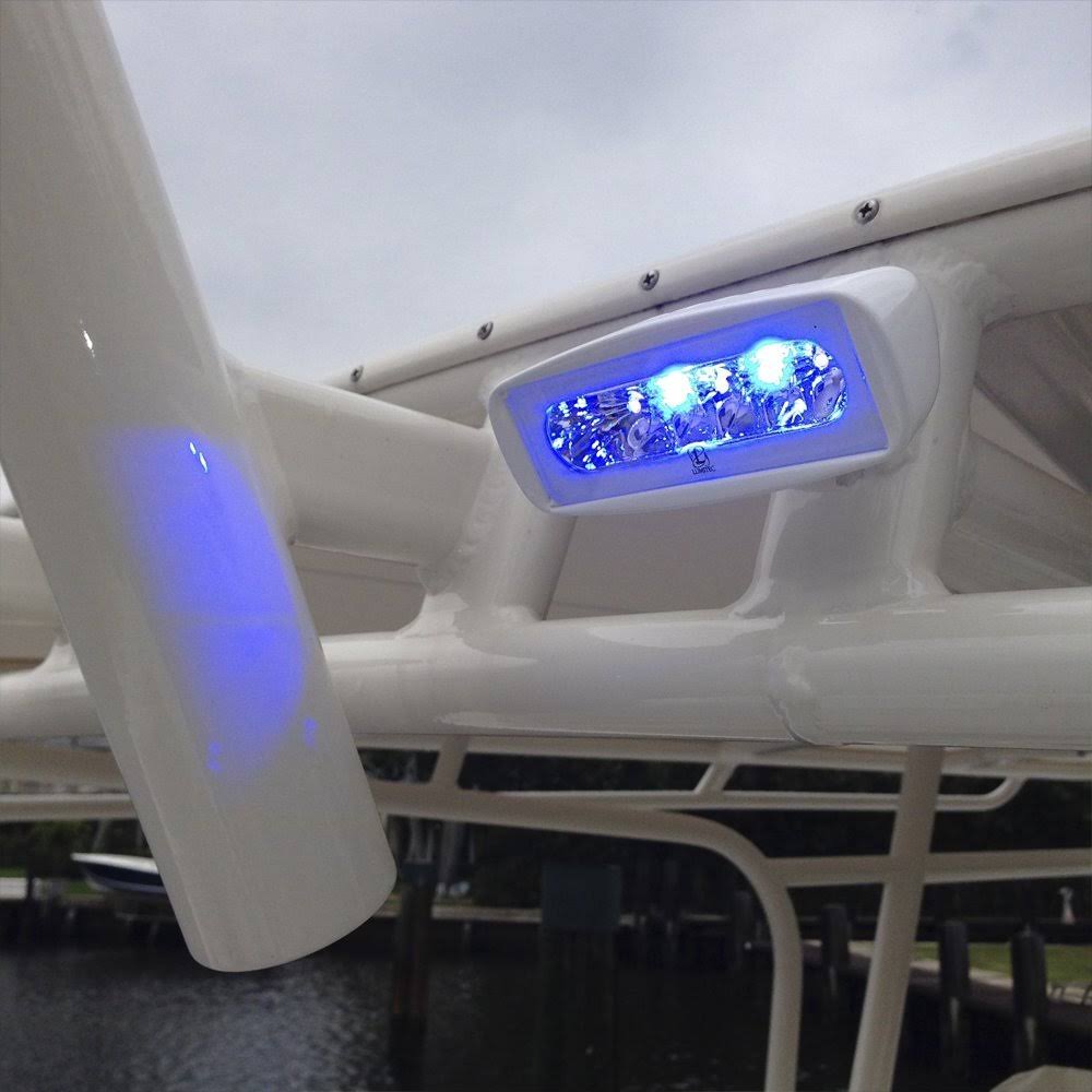 White/Blue LED Flood Light C156769