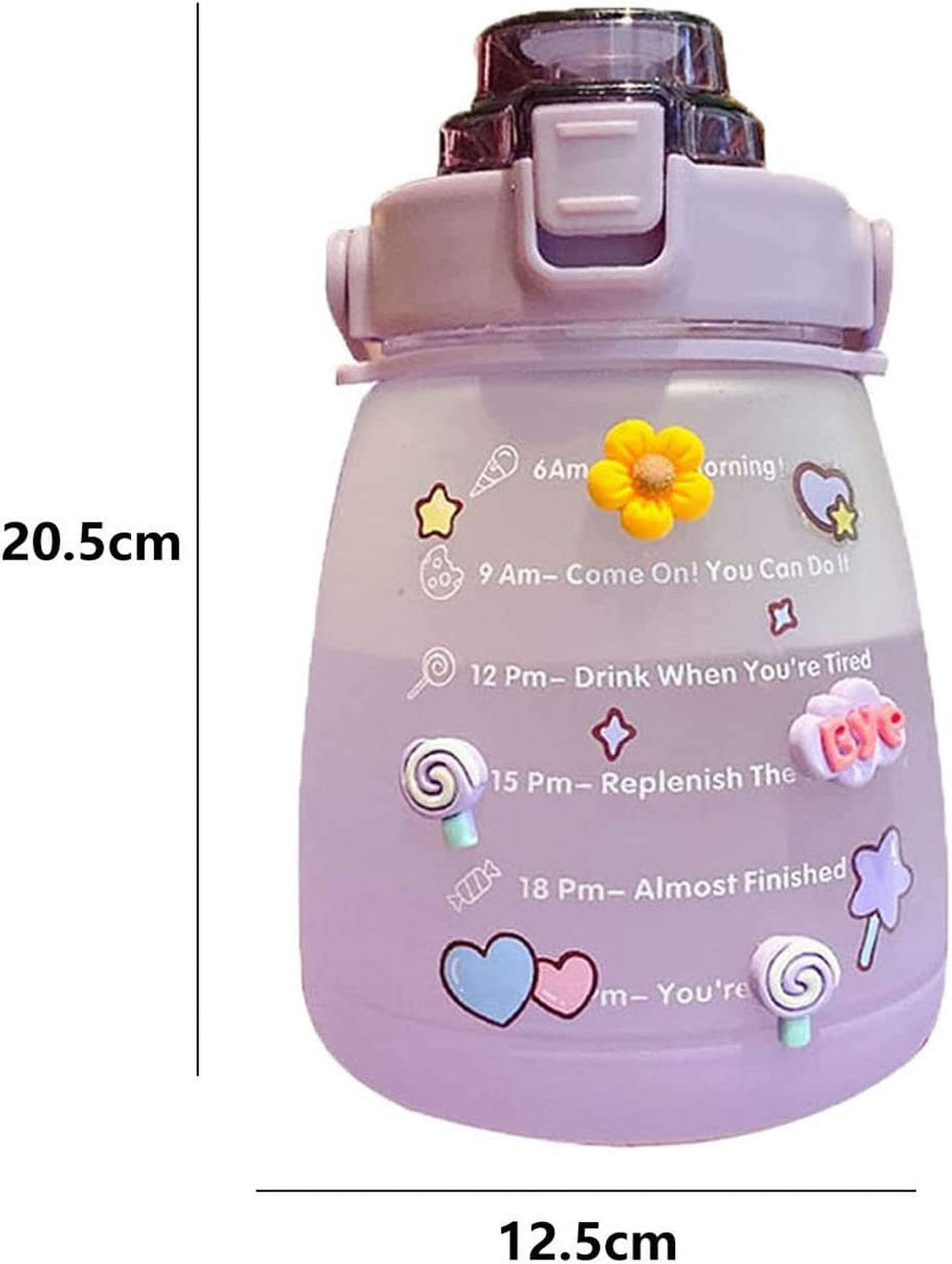 Purple Big Belly Water Bottle with Straw S323319