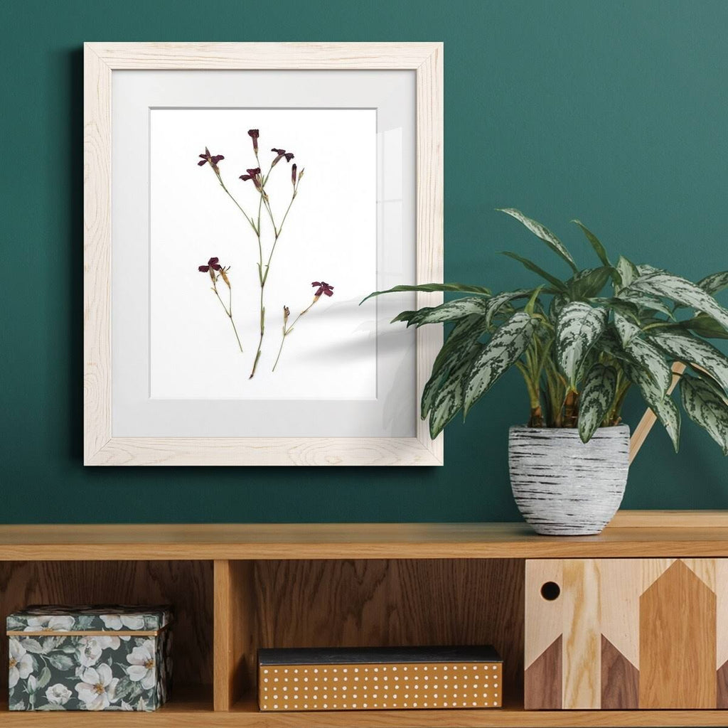Framed Print - 27.5X37.5 - Walnut R7906