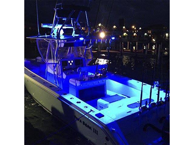 White/Blue LED Flood Light C156769