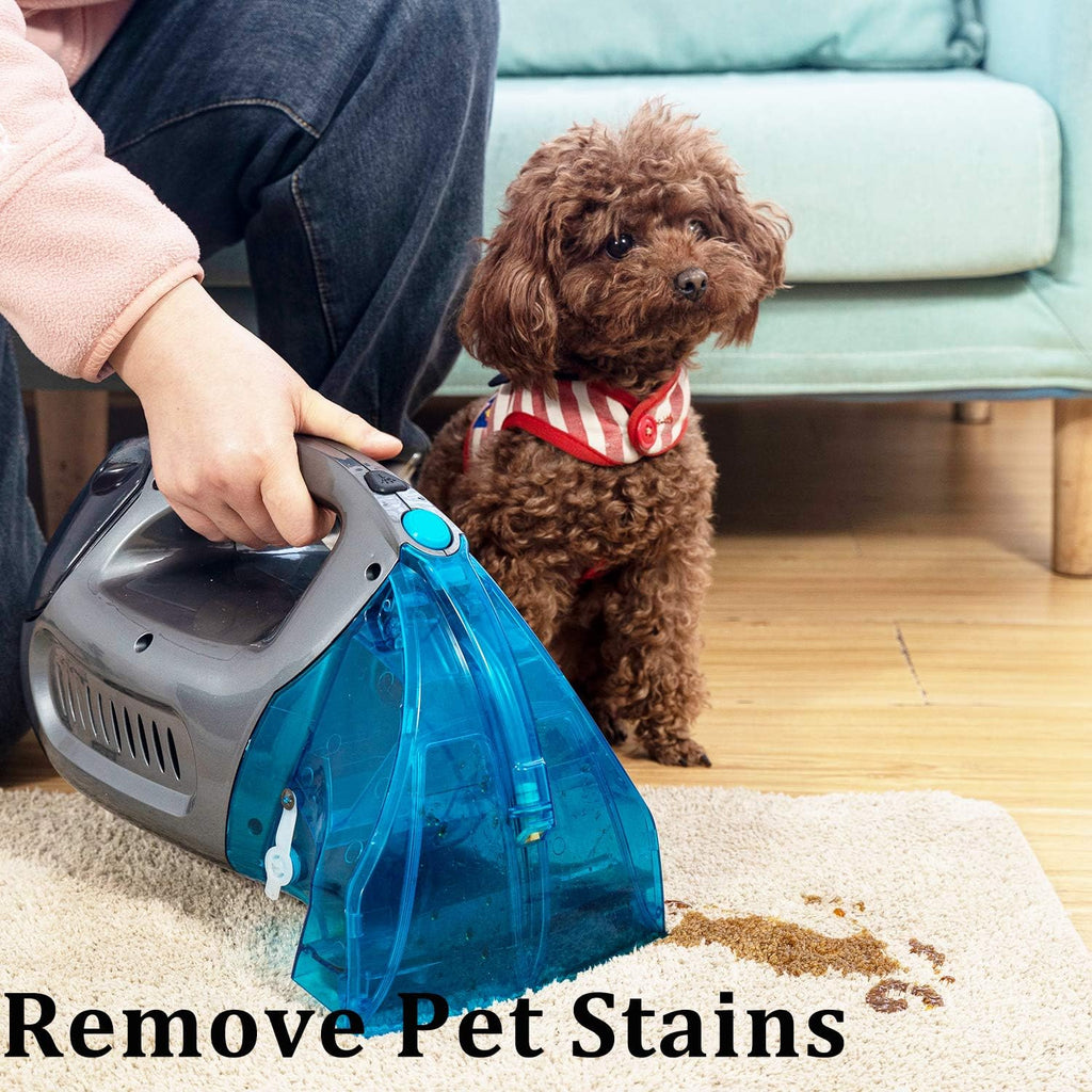 Pet Stain Eraser Carpet Cleaner Pack of 2 I39258