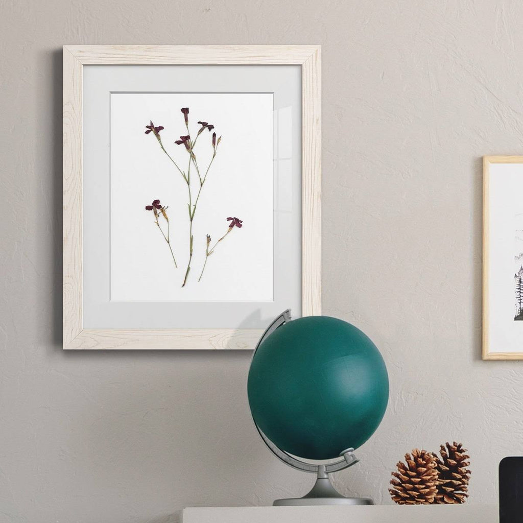 Framed Print - 27.5X37.5 - Walnut R7906