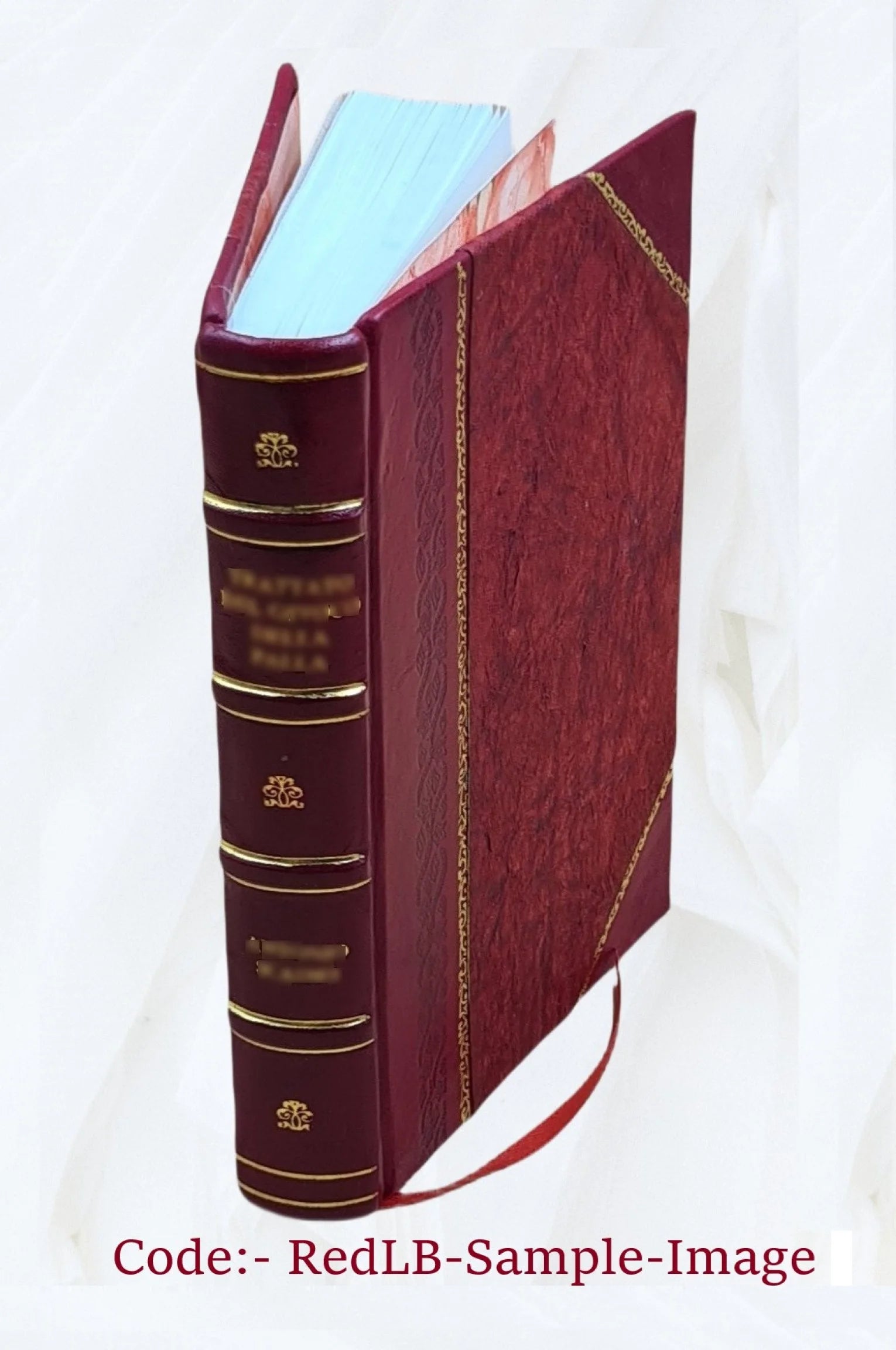 Germany, the next republic? By Carl W. Ackerman. 1917 [Leather Bound] H171453